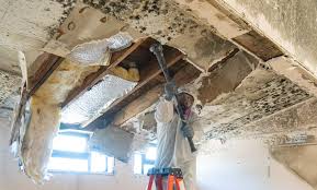  , AR Mold Removal & Remediation Pros